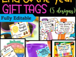 End of the Year Gift Tags & Gift Ideas, 5 EDITABLE Designs| Summer Gift tags #1